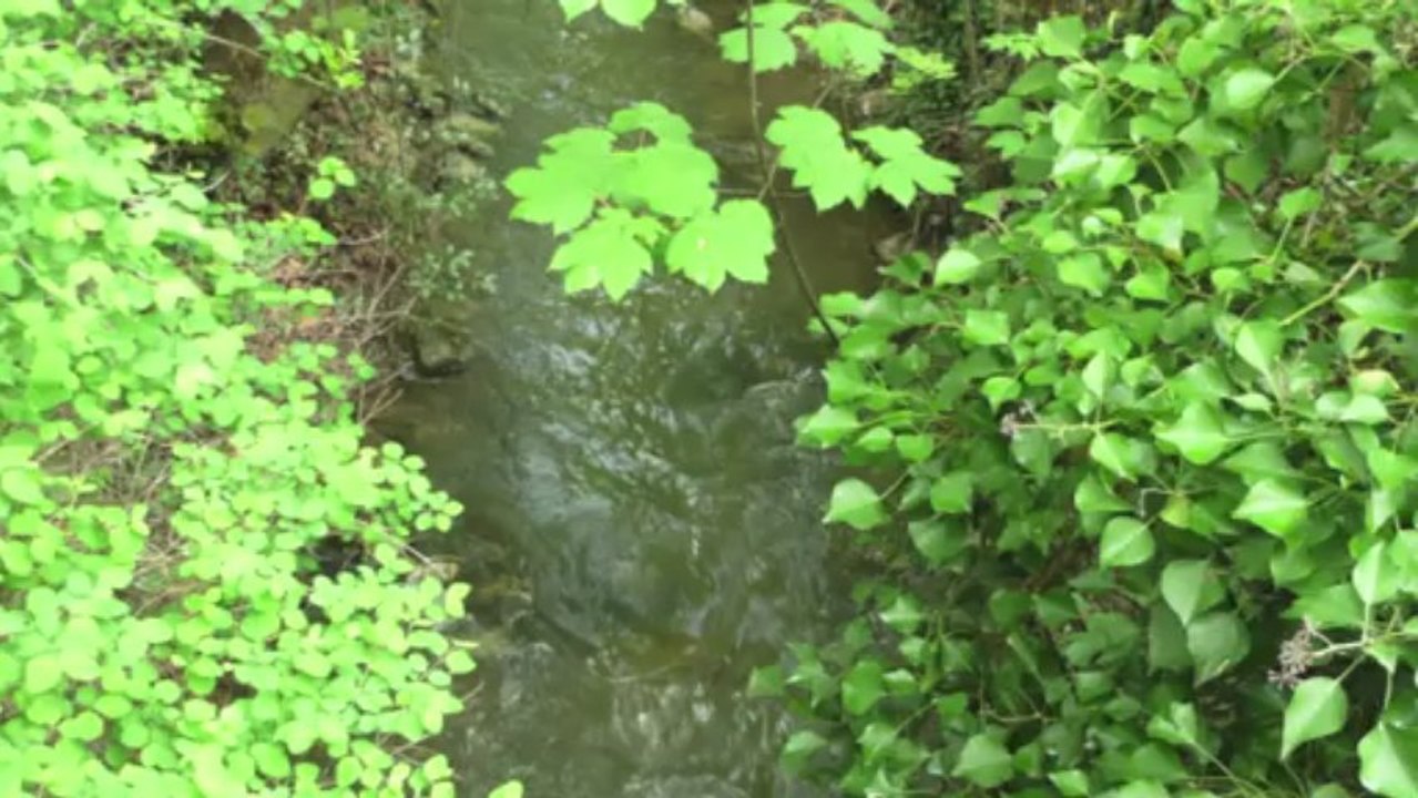 Eaux vives, eaux mortes.