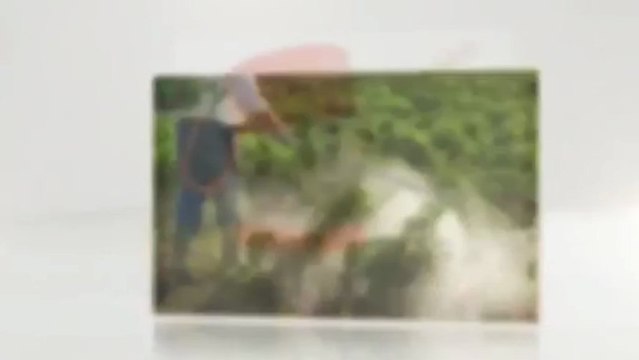 Will Kill Pest Management - (404) 241-7619