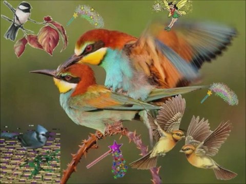 Sable magique..(musique My Heart wille go on..du film Titanic à la guitare)