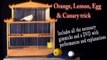 Canary  Egg  Lemon and Orange Trick ( All Props and DVD) by Quique Marduk - Magic Trick