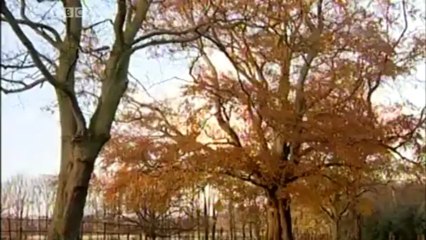 BBC Look North - North East & Cumbria - 4/6/13