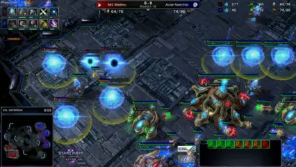 Nerchio vs Welmu - Game 1 - WCS Starcraft 2