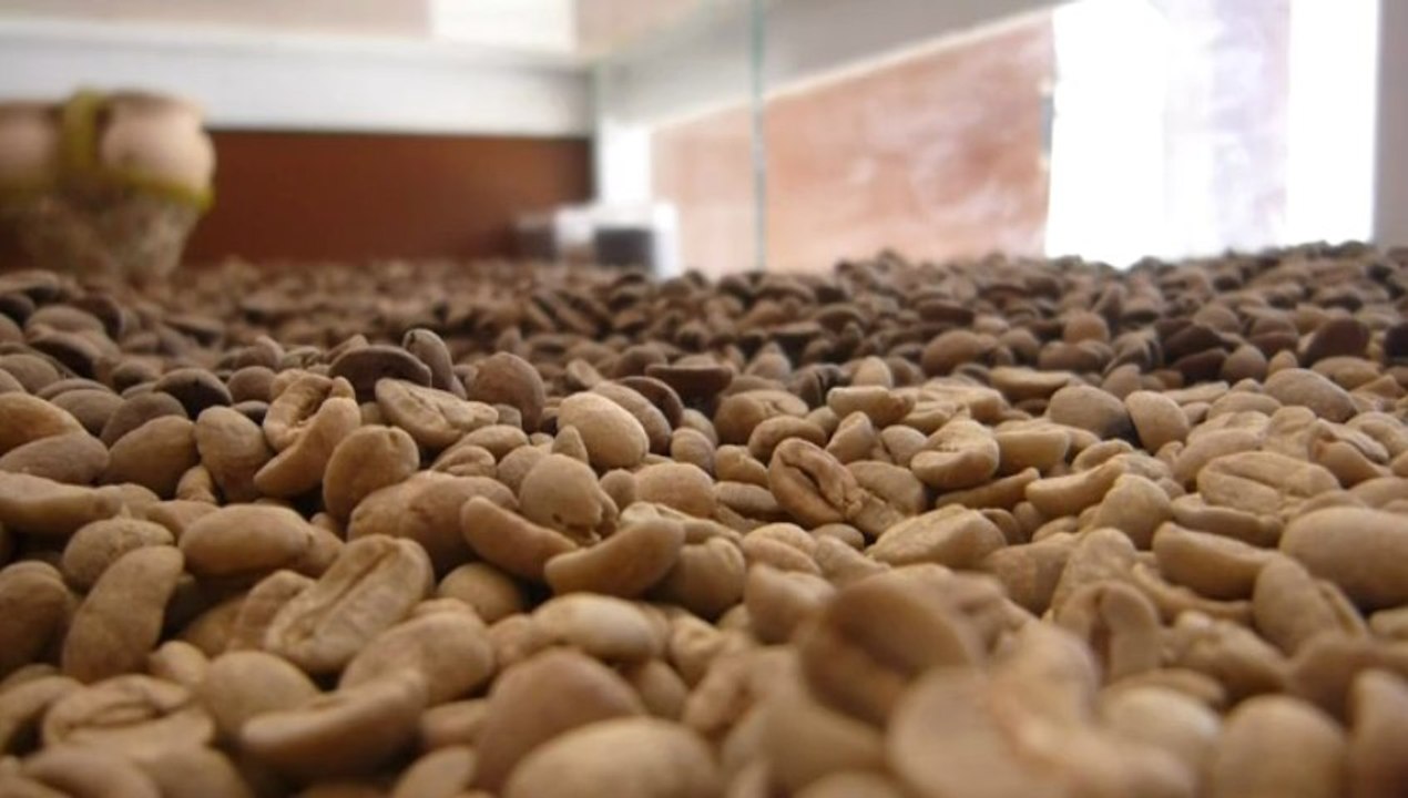 palma café