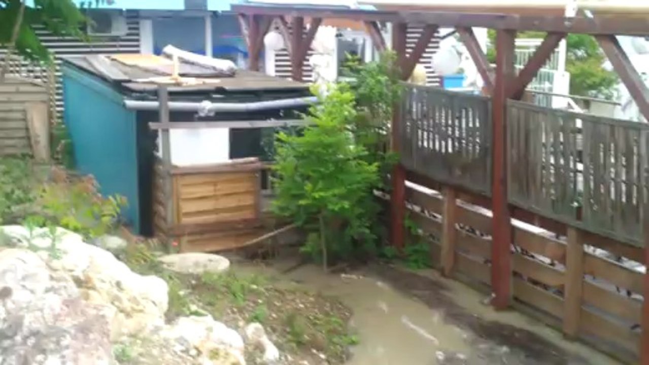 Wien Donauinsel Vienna City Donau 2013. 06.05