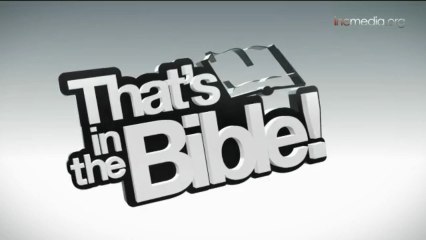 Discover the True Meaning of Life: Insights from the Bible and Beyond ✨
