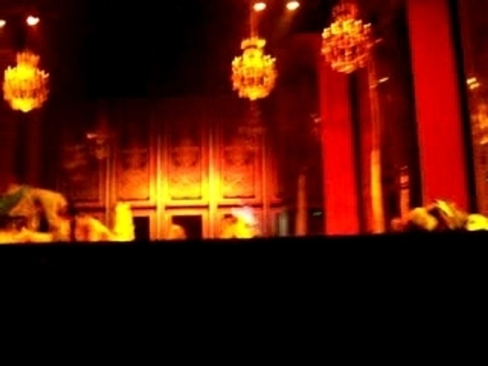 LE ROI SOLEIL - La vie passe 1