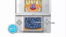 [Nintendo DS] - Pokemon Platinum Download [June/2013]