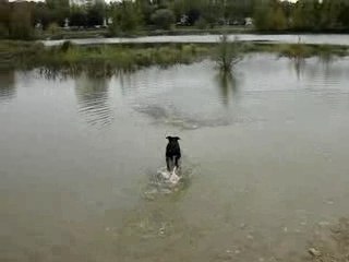 Buyller et les jois de l'eau