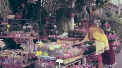 Alex Ferreira - El afán