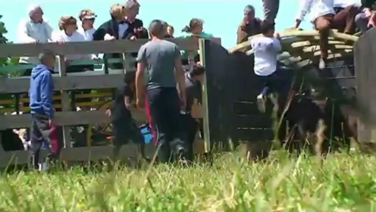 TransHumance Mas-Thibert 2 juin 2013