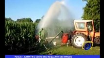 Puglia | Aumenta il costo dell'acqua per uso irriguo
