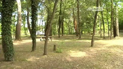 STUPRI IN RIVIERA DEL BRENTA, UN FERMATO