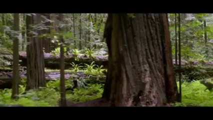 After Earth - Dopo la fine del mondo - Video recensione