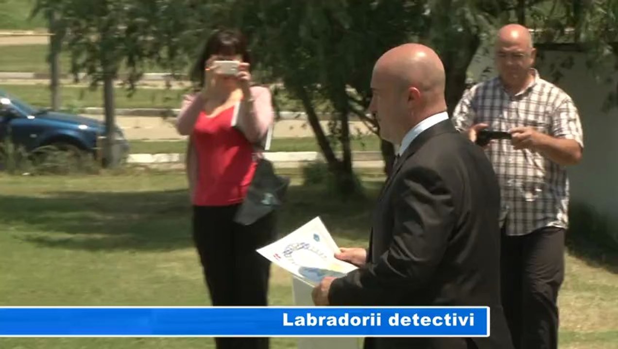LABRADORII DETECTIVI