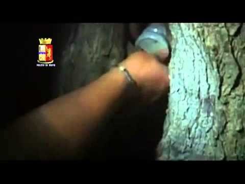 Crotone - Scacco alla joint venture della 'Ndrangheta, 33 fermi (04.06.13)