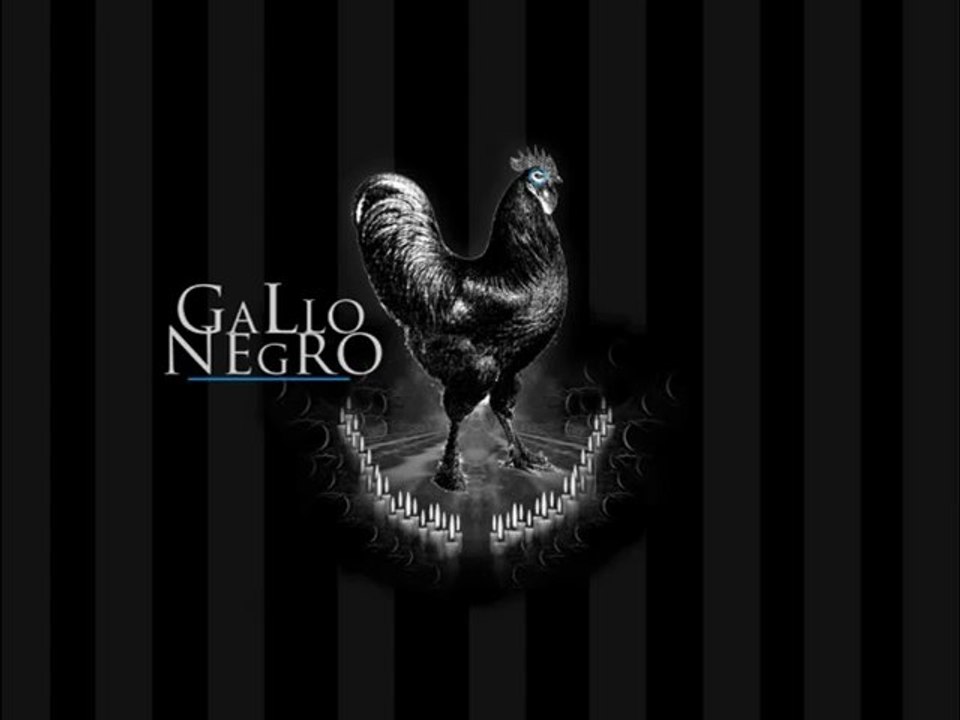 La danza de los jÃ­baros