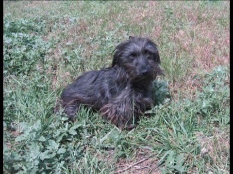 Не вернусь назад....