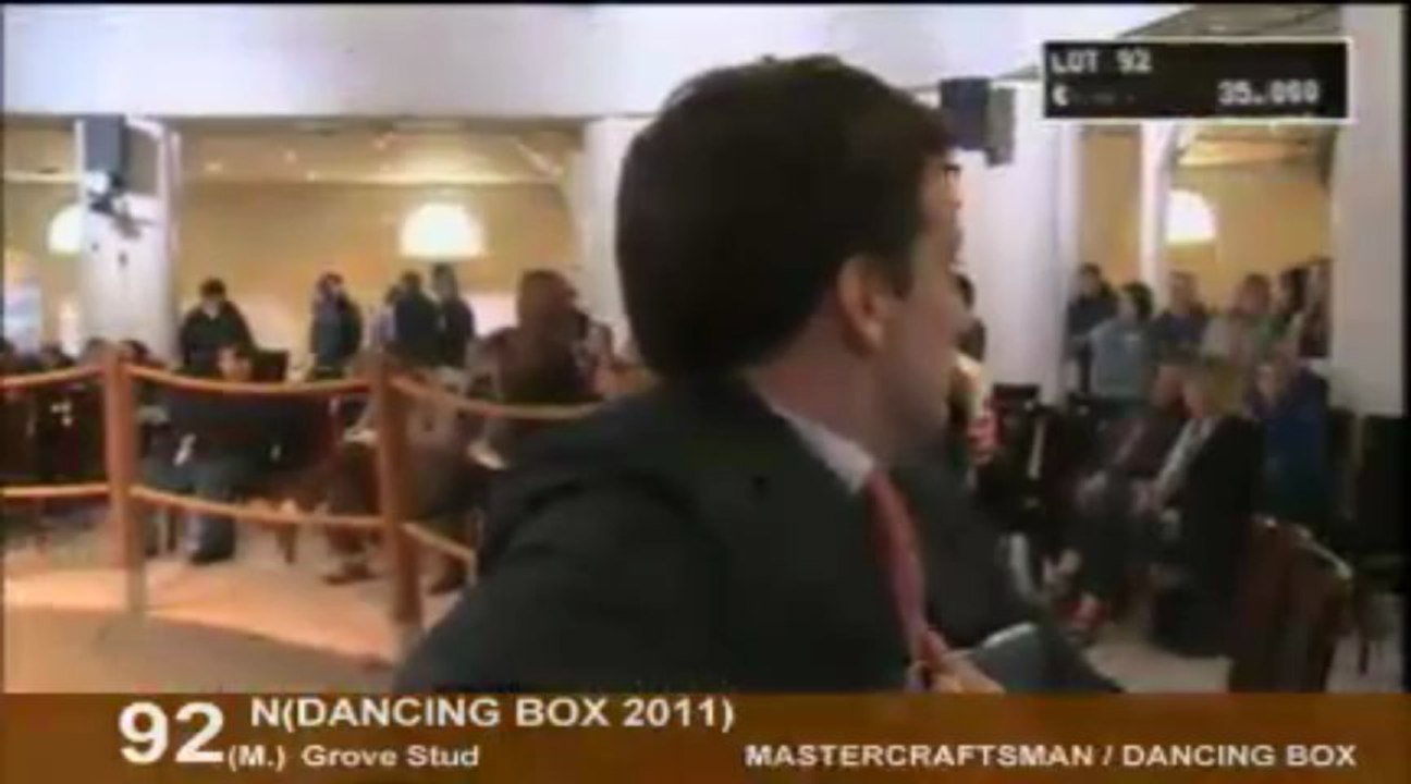 Lot 37 à 134 - Vente Breeze up Arqana - St Cloud 2013