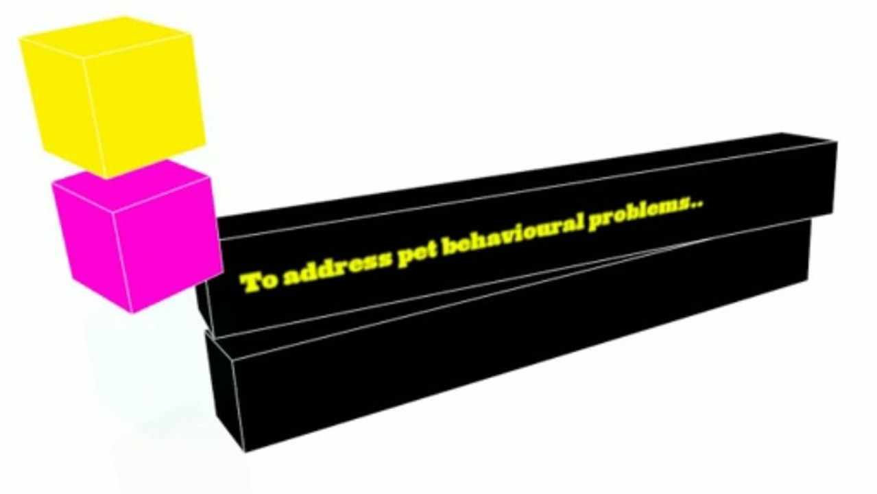 Addressing Your Pet's Behavioural Problems | 1300 306 887