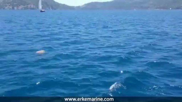 ERKE Marine, Sense 50 Sailing Yatch - Caretta Caretta Göcek - erkemarine.com