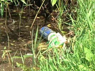 Китайский дворик разрушен