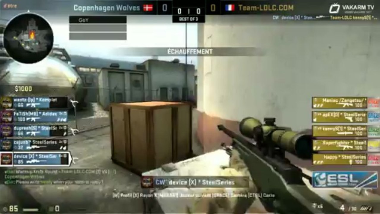 Finale EMS RaidCall #4 : Team LDLC - CPH Wolves