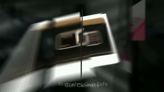 Biometric Gun Safes by GUNSAFES.COM