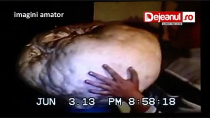 ciuperca uriasa dejeanul.ro