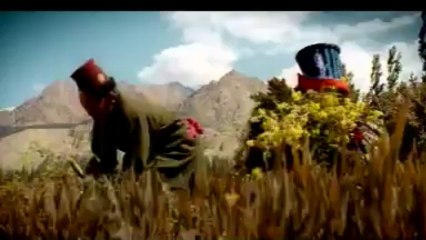 Spectacular Bike Bajaj Avenger