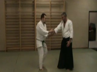 Gyaku hanmi ryote dori forme complète