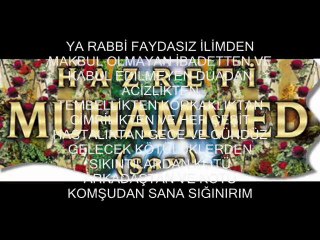 ADAM_GİBİ1971 YA MUHAMMED