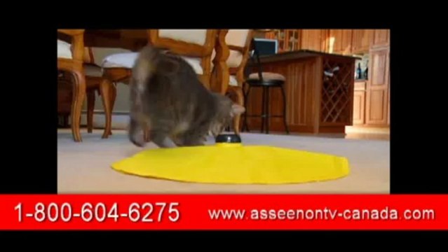 Cats Meow Canada - 1-800-604-6275