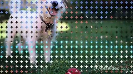 The Crossing at Barry Road Apartments in Kansas City, MO - ForRent.com