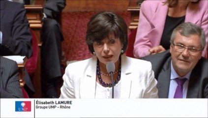 Réforme du statut de l'auto-entrepreneur : "Souffler en permanence le chaud et le froid, annoncer tout et son contraire est de nature à inquiéter !"