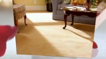 Carpet Cleaning Service Sarasota FL - (941) 915-4783