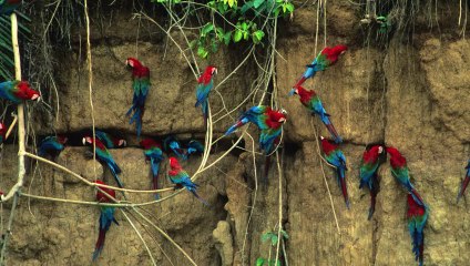 Régis Cavignaux : dans l’œil du photographe