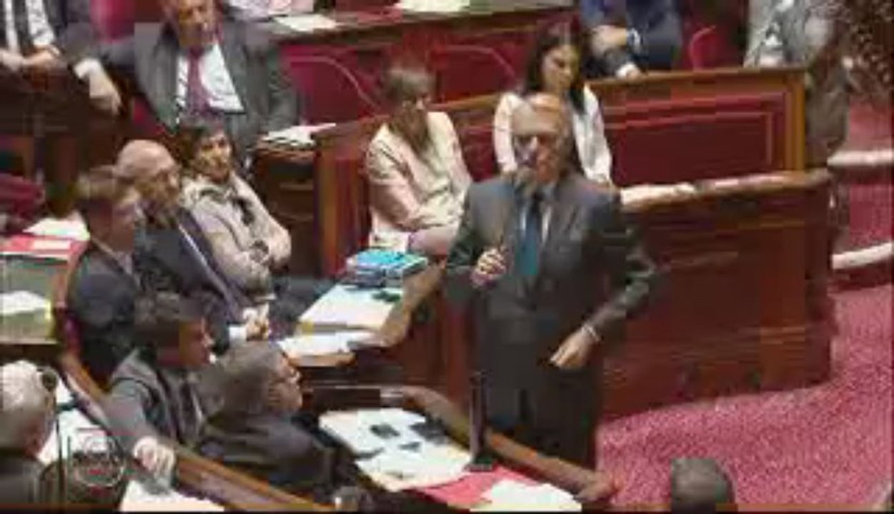 QAG de Laurence Rossignol sur la mort de Clément Méric (6 juin 2013)
