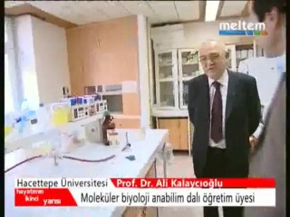 Hacettepe Ünv. Prof. Dr. Ali Kalaycıoğlu ile yapılan röportaj