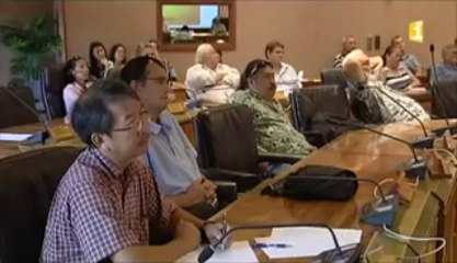 Un projet de tramway aérien dans la zone urbaine de Papeete
