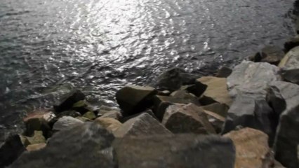 Spin the Bottle - Bumpie's Party Teaser Trailer