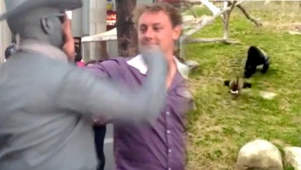 Human Statue vs. Douche: Gorilla vs. Goose Showdown