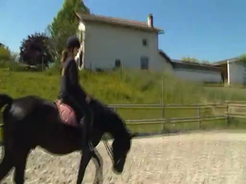 fin de seance du 7 juin