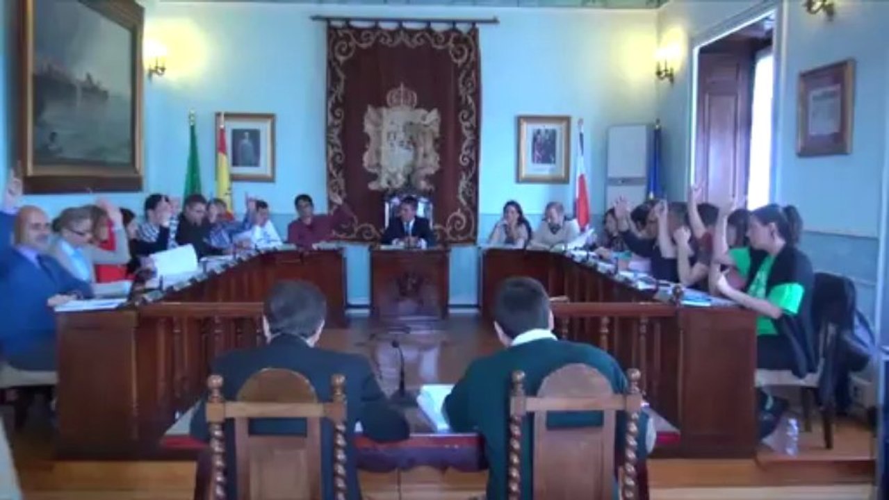 Pleno ordinario de junio 7062013. mp4 2ª parte