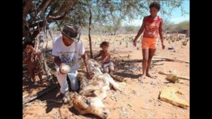 Um Retrato da Seca no Nordeste...e com tendência a Piorar!!