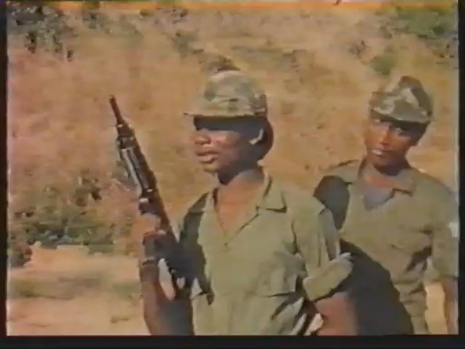 La coopération technique belge au zaire