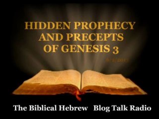 (1) HIDDEN PROPHECY AND PRECEPTS OF GENESIS 3