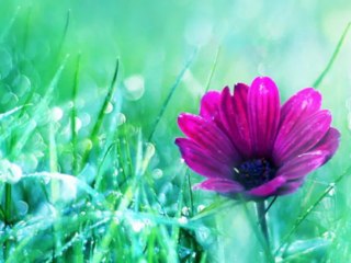 Giovanni Marradi - Summertime