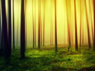 Giovanni Marradi - Fuga in B Minor