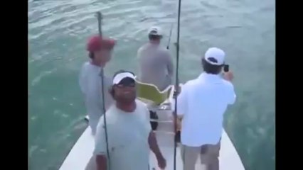 Sharks Requins Destroy Fisherman. ATTAQUE