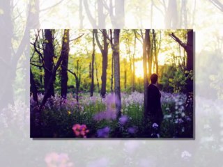 Giovanni Marradi - Nocturnes